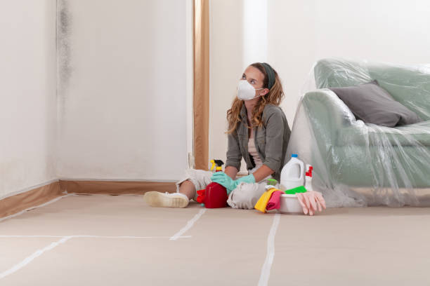 Reliable Black Mold Remediation contractor in Royersford, PA by Mold Remediation HQ